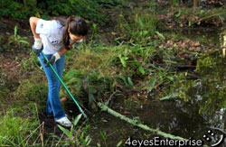 Looking for trash in the creek